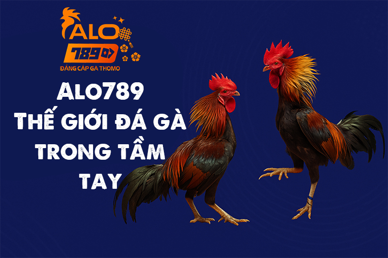 Alo789 là nhà cái đá gà uy tín